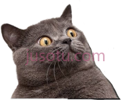 滑稽猫惊恐脸PNG