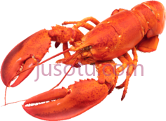 龙虾PNG