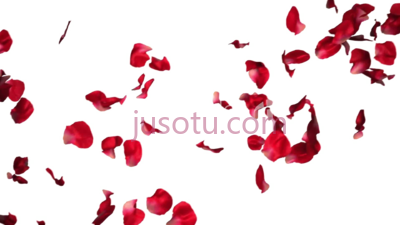 玫瑰花瓣,rose petals PNG