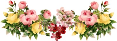 结婚花,wedding flower PNG