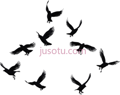 乌鸦群,flock crows PNG
