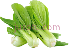 青菜PNG