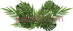 植物, PNG