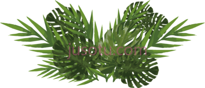 植物,watercolor plants PNG