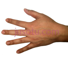 手,open hand PNG