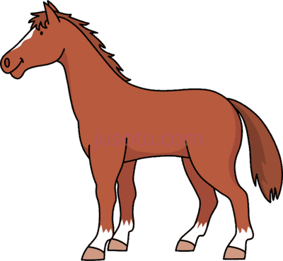 马,thoroughbred horse animal PNG