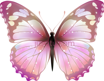 粉红蝴蝶,borboletas PNG