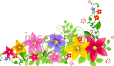 花,format PNG