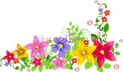 花,flowers PNG