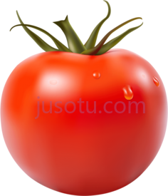 番茄PNG