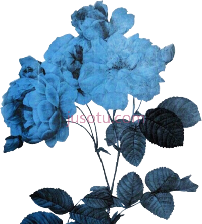 花卉蓝色,flower art alternative blue PNG
