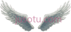 天使之翼PNG