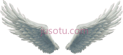 天使之翼,angel wings PNG