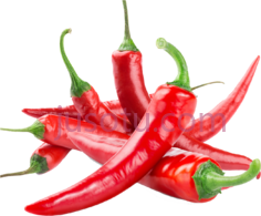 红辣椒PNG