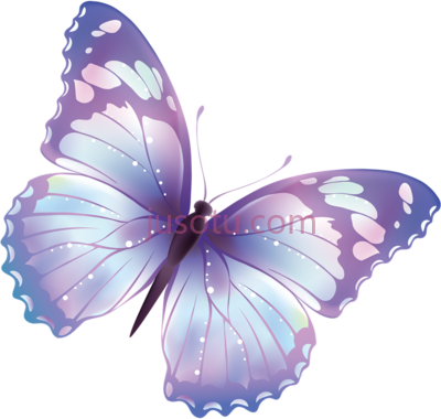 蝴蝶,butterfly PNG