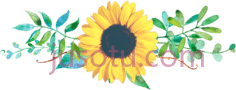 向日葵,花 PNG
