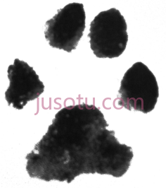 狗爪PNG