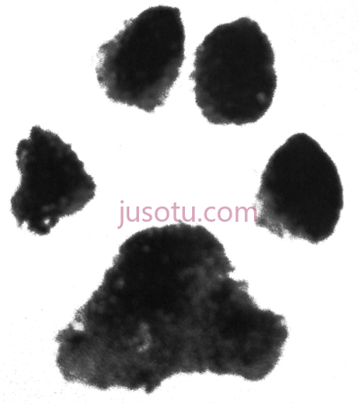 狗爪,dog paw print PNG