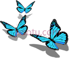 蝴蝶,君主 PNG
