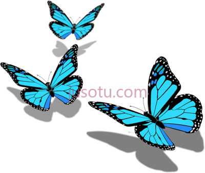 蝴蝶,butterfly PNG