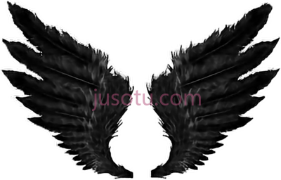 恶魔黑天使翼翅膀,demon black angel wings PNG