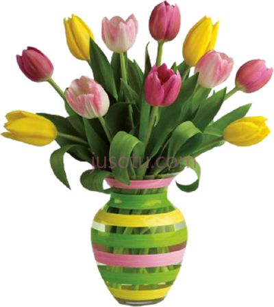 花盆,flower pot vase beautiful PNG