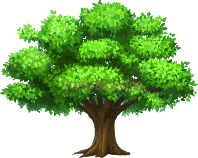 松树,pine tree down PNG