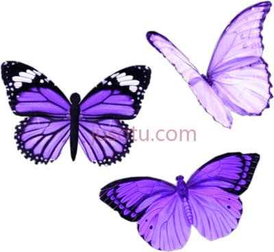 紫蝴蝶,purple butterfly moodboard niche butterfly PNG