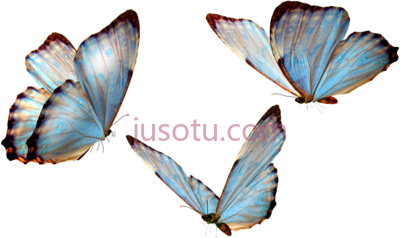 蝴蝶,flying butterfly PNG