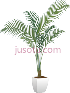 盆栽植物,棕榈树 PNG