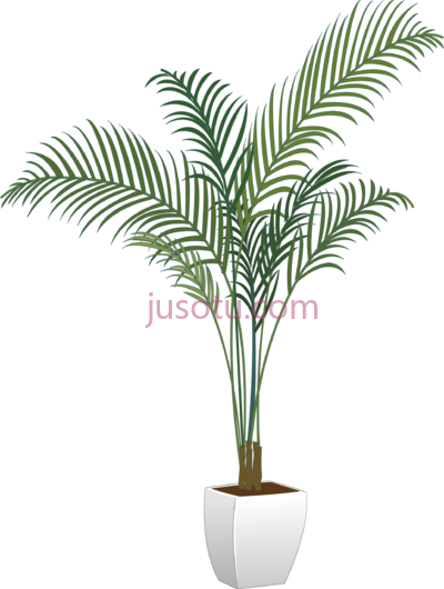 盆栽植物,pot plant PNG