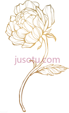 金玫瑰,花 PNG