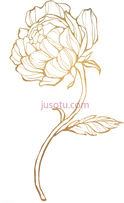 金玫瑰,gold flower PNG