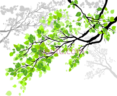 树枝树叶,tree branch leaves cool branches PNG