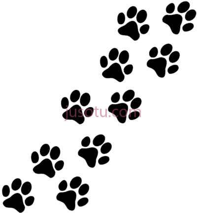 爪印,paw puppy cat pug prints PNG