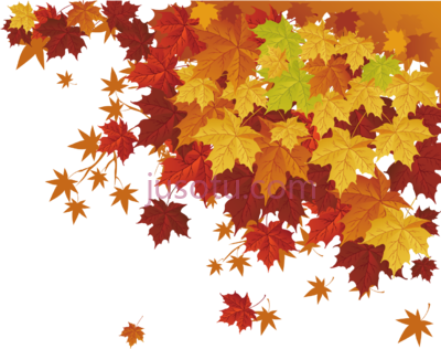 秋叶,deciduous trees fall leaves PNG