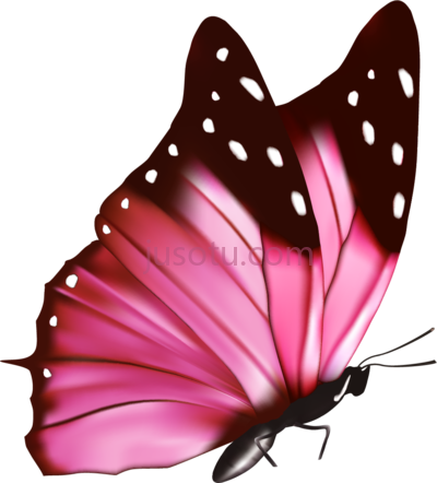 飞舞蝴蝶,borboleta PNG