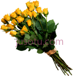 花束,书 PNG