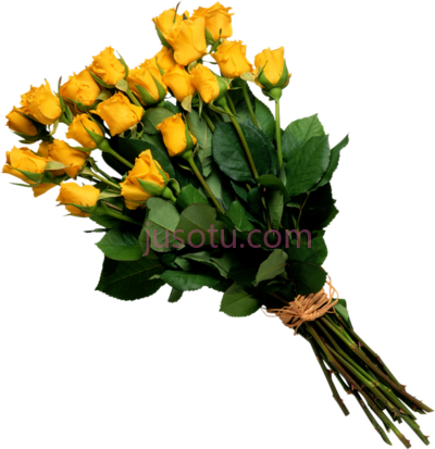 花束,flower bouquet PNG