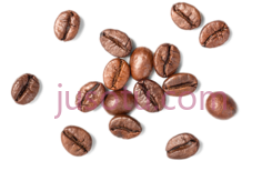 咖啡豆PNG
