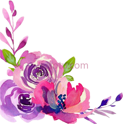 粉紫色水彩花,pink purple watercolor flowers PNG
