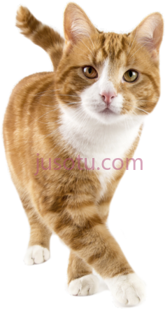 猫走PNG