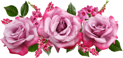 粉红色花,flores rosa pink PNG