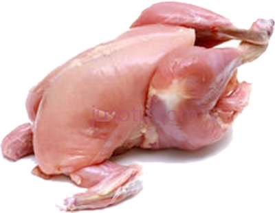 全鸡,whole chicken without skin PNG