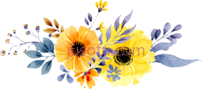 黄花,yellow flower PNG