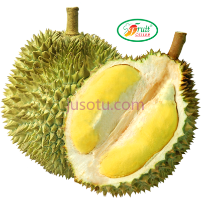 榴莲,durian PNG