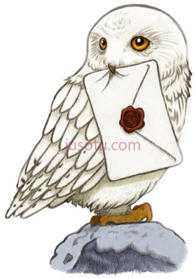 猫头鹰,harry potter owl cartoons hedwig PNG