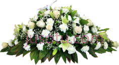 丧花, PNG