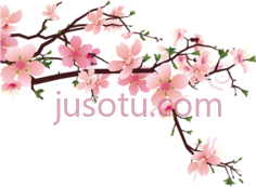 樱花花瓣PNG