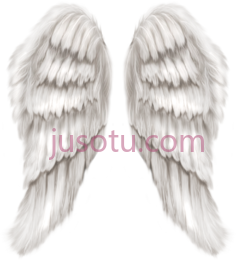天使翅膀PNG